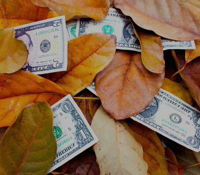 Effortlessly round up purchases to the nearest dollar to grow your savings.