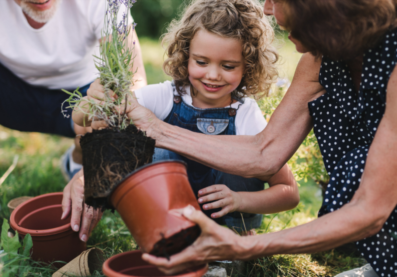 Photo for Help your finances bloom